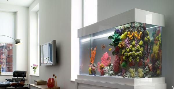 Saltwater tank w/coral insert, Soho residence