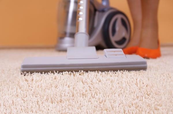 Bayside Carpet Cleaning