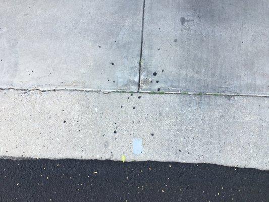 black splatters on our concrete