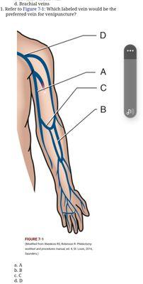 Can you name the veins?