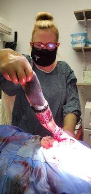 Dr. Steffen during a C-section surgery!