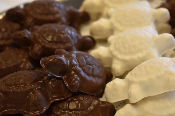 Chocolate Turtles