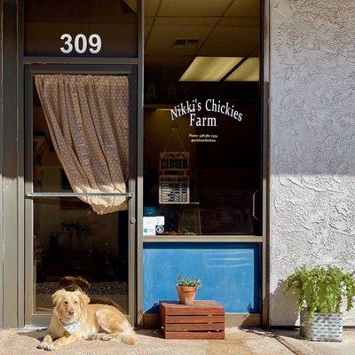 Our good boy Sam hanging outside of the shop!