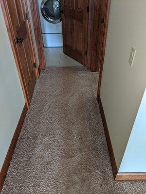 Carpet cleaners in Worcester Mass