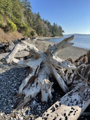 Cama Beach State Park