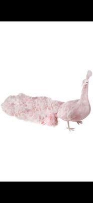 Pink peacock life-size