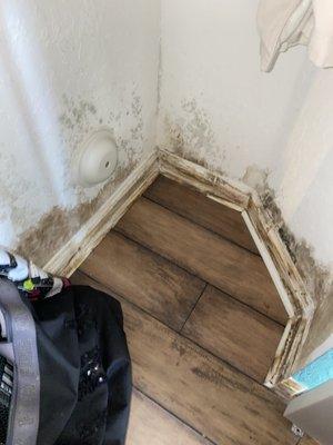 Mold growth in bedroom closet