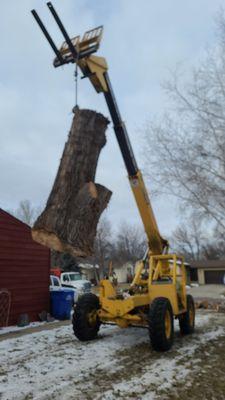 Timberman Tree Service