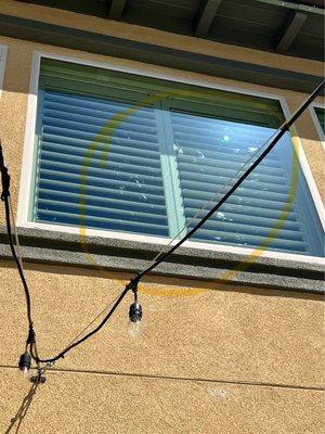 Blue Coast Window Cleaning