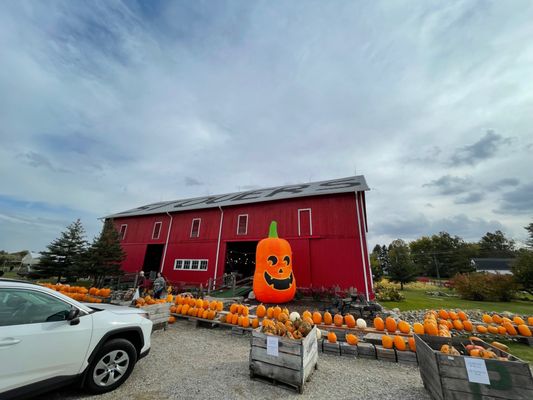 Outside the barn