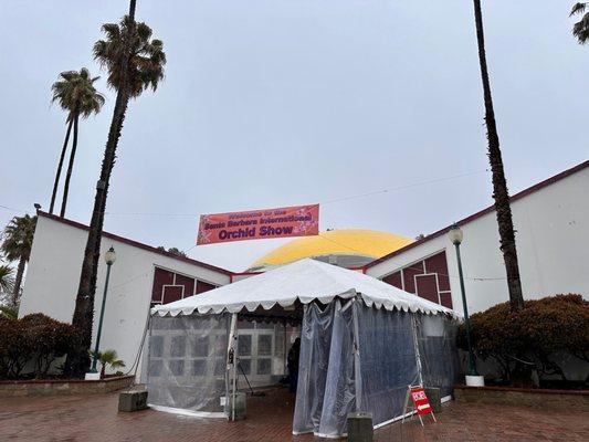 The Santa Barbara International Orchid Show is held at the Earl Warren Showgrounds in Santa Barbara