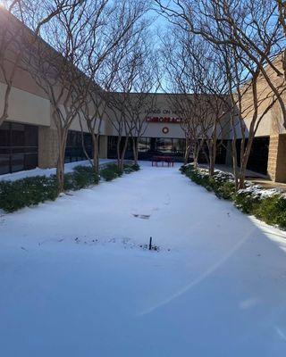 Courtyard on a snow day!