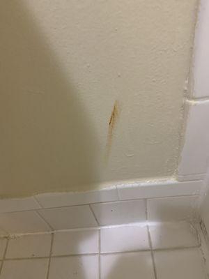 Blood on the bathroom wall