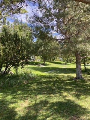 The grassy area with the picnic tables.