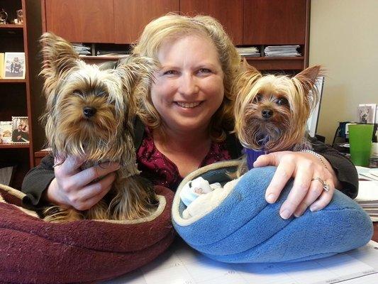 These are our office watch dogs. Maggie is on the right and Max is on the left. We now have Molly (who isn't pictured) she's new.