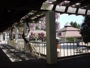 View of the Dining Hall from the college office