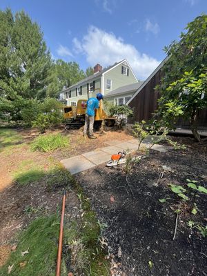 Stump grinding along brick wall and pavers.