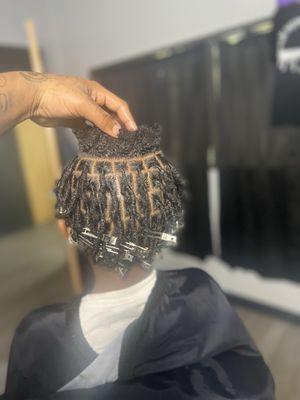 2 strand twist into starter locs