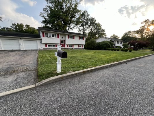 Cleanup for an extremely overgrown yard on a newly purchased home. (After)