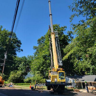 Tree Removal with a crane in McLean, VA with our friends at Fairfax Crane (highly recommended).