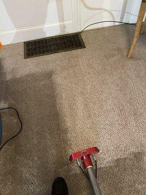 MW Carpet Cleaning Unlimited