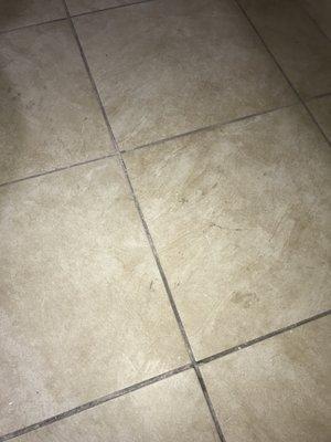 Dirty restroom floor