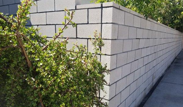 Cement block wall built to code