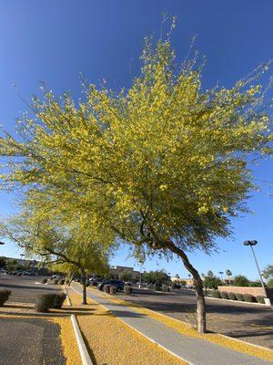 Superstition Gateway West