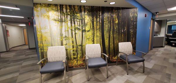 Nature-inspired, Custom Adhesive Wall Film