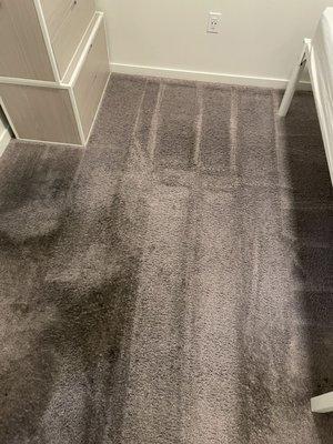 Heavily soiled carpet being cleaned. Left side of image has NOT been clean. Right side has been cleaned.