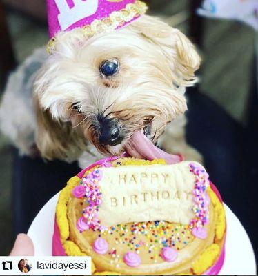 Birthday girl celebrating 10 years with yummy cake.