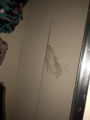 Leaking roof in our closet