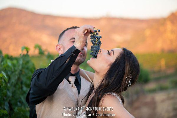 San Diego Wedding Photographer at Orfila Vineyards and Winery