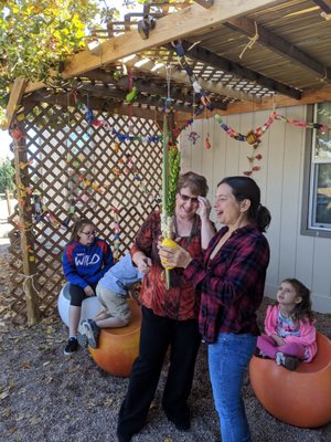 Shaking the lulav and etrog in the sukkah!