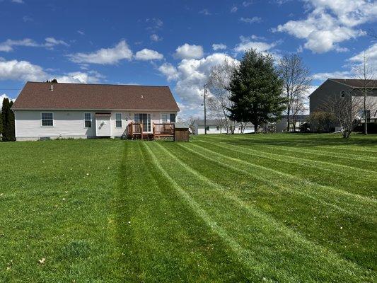 Grassbusters Lawn and Landscape