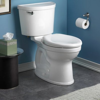 We sell and install all toilet brands but we recommend American Standard and Toto toilets, they are the best flushing toilets on the market