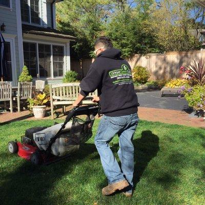 Lawn maintenance for residential & comercial property's.