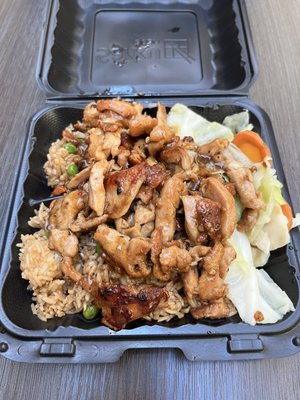 Combo 1 Chicken Teriyaki