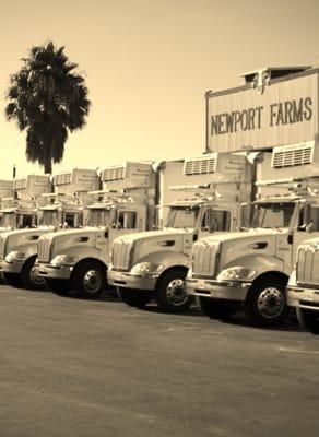 Newport Farms' Delivery Trucks