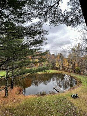 Moose Meadow Lodge & Treehouse