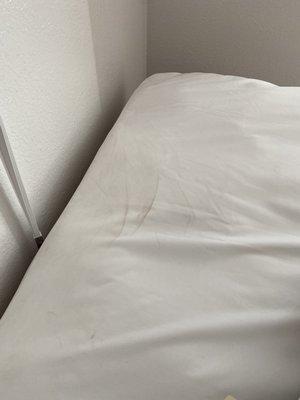 Stained Matress