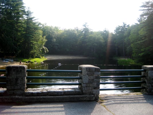 Pond as seen from the bridge.