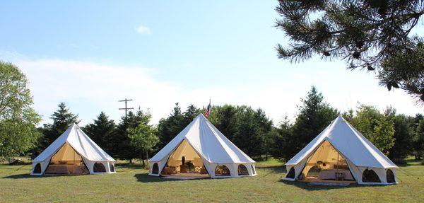 Under the Stars Glamping