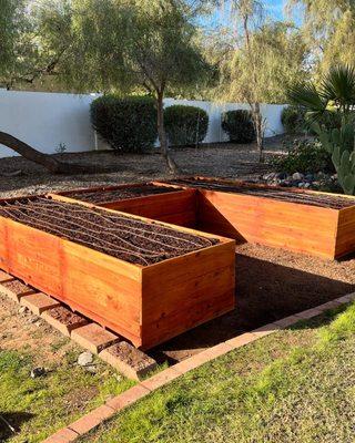 A large U-shaped redwood garden.