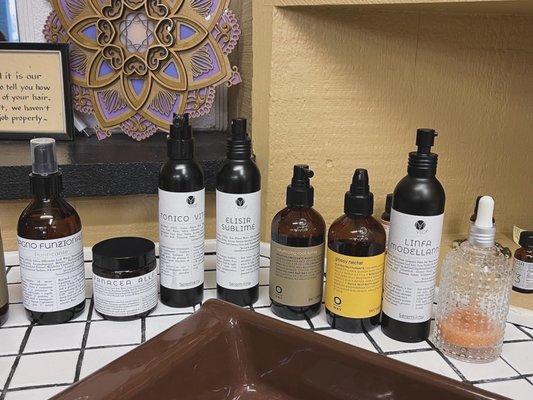 Your Holistic Hair Wellness Experience
What We Used & Why