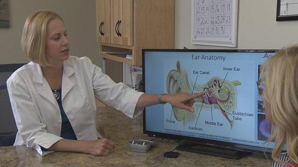 Audiologist explaining how the ear is structured to work.