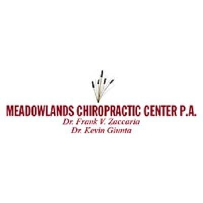 Meadowlands Chiropractic Center P. A.