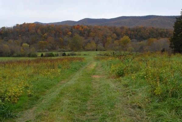 path to the river