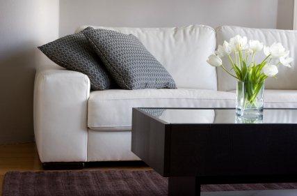 Upholstery Cleaning Appleton WI