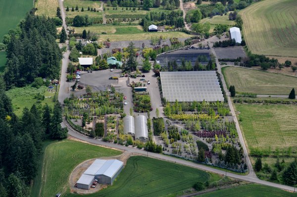 Aerial photo of Cascadian Nurseries